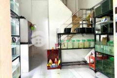 Nhà 1 trệt 2 lầu 4x6m 50m ra đường nhựa lớn