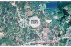 Kẹt tiền cắt lỗ đất vườn hồ trị an 995tr1000m2