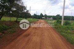 Bán rẻ 1600m2 đất vườn giá 190tr