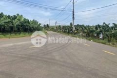 Đất chính chủ thanh lý cắt lỗ gấp 300tr trong tuần