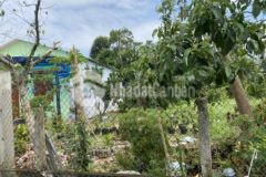 Đất điện hoà 530tr1 lô 3 lô liền kề gần chợ la thọ