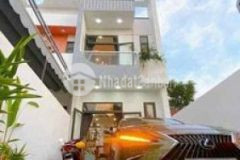 Nhà nhánh dx043 phú my