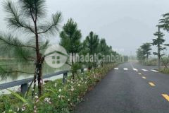 Lạm phát bán lô lô đất trên bảo lộc 385tr