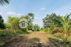 Bán 1 5sào đấtvườn gần kcn sông mây t lượng mạnh