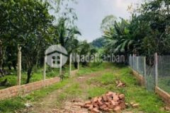 Bán sào đất vườn cây ăn trái gần ngã tư vĩnh tân