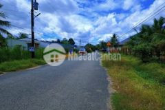 Ngộp đường nhánh dt 784 đi vào 100m