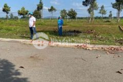 Chính chủ bán lô biệt thự lan anh 2 giá 10trm2