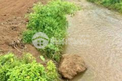 Đất sổ hồng 1000m2 ngang 15m tân lợi đồng phú