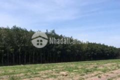 Kẹt tiền ngân hàng cần bán gấp