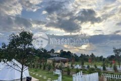 Bán nhà vườn nghỉ dưỡng bảo lộc giá 759triêu