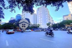 Bán lô đất vip cầu giấy lô góc vỉa hè 331m mt 35