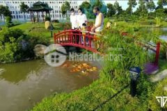 Gấp cần bán nền đối diện công viên stella