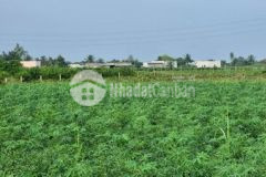 Đất vườn dt 43x24m đường đá xanh 3m được xây nhà