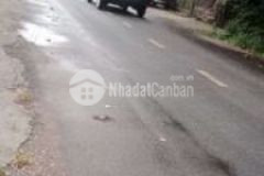 Nhà 320triệu sau lưng nước mía vườn cau