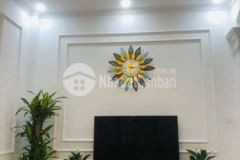 Tam trinh nhà đẹp lô góc 4 thoáng mặt ngõ