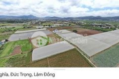116m2 72m2 đất ở đường 7m liên nghĩa đức trọng