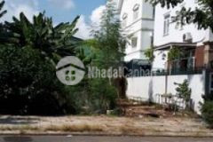 Đất biệt thự đường 65 dt 12x20m kdc tân quy đông