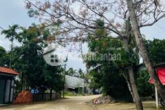 Bán đất mặt tiền xóm 6 ngọc anh giá chỉ 2 2xx tỷ