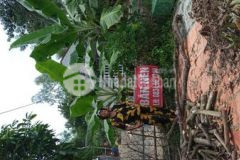 Giá sốc nền thổ 100 mặt tiền đường nhựa tri tôn