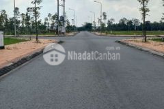Nền đẹp giá đầu tư can bán gấp
