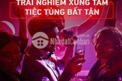 Nhà 216m2 2lầu đường nội khu lê hoàn tại artisan p