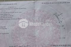 Cần tiền bán gấp nhà cấp 4