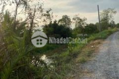 Mặt kênh cho chuyển thổ ngay cầu vàm thủ đoàn