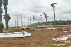 Lô đất nằm trên đỉnh mùa đông đất cây lâu năm