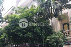 Bán biệt thự nguyễn cơ thạch, lô góc 3 thoáng đẹp, 4 làn ô tô 28.9 tỷ khu vip 0913978689