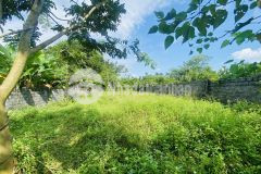 Siêu phẩm nghỉ dưỡng diện tích 790m2 full thổ cư có nguồn khoáng nóng 35 độ c