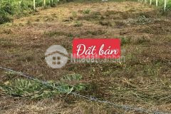 Hơn 1000m2 xã tân thành, huyện thủ thừa, long an thích hợp làm nhà vườn, nhà yến giá 750tr