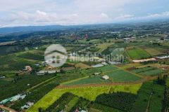 Đất nền bảo lộc lâm đồng view núi săn mây đầu tư giá f0 rẻ nhất khu vực