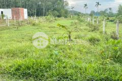 Tôi cần bán nhanh lô đất củ chi giá rẻ 400m2 giá 1,8 tỷ sổ hồng riêng