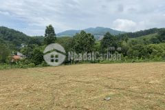 Chủ cắt 3000m đất nam thượng, kim bôi, hòa bình