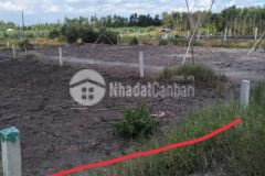 Đất vườn xã tân thành, huyện thủ thừa, long an giá đầu tư. có thể lên thổ cư, hợp làm nhà nghỉ dưỡng