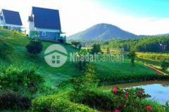 Đáo hạn ngân hàng ra gấp đất bảo lộc sổ sẵn 475tr