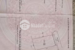 Cắt lỗ bán gấp 350tr1000m2