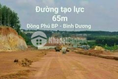 1000m2 10x100 15x100 20x50 tân lợi đồng phú