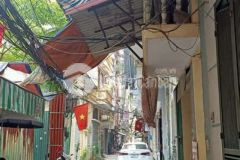 Ban nha đương đôi tâm mai kim đông ô tô đô