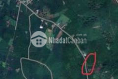 Chỉ 1 tỷ 7 sở hữu cả lô đất 2500m tại tp bảo lộc