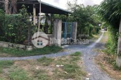 Cần bán gấp đất thuộc ấp cẩm bình xã cẩm giang