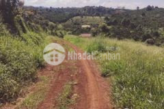 5000m2 ôm suối có nguồn thu 90m đường đất 4m