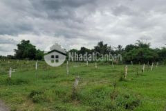 Bán đất trâm vàng 1 thanh phước gò dầu