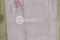 Chuyển nhượng đất tđc đội 4 xã kim tân kim thành