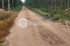 Bán nhà đất chính chủ sổ riêng