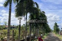 Định cư nước ngoài cần bán nhà