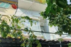 Bán nhà sổ hồng riêng tại quận 7 3 x 10