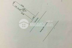 Nền đẹp wieeu trực diện công viên zengaden