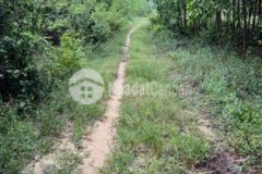 Bhk phổ an gần đường dung quất sa huỳnh 959m2