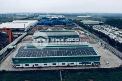 10 000m² khu cn vĩnh lộc đang cho thuê 800 trth